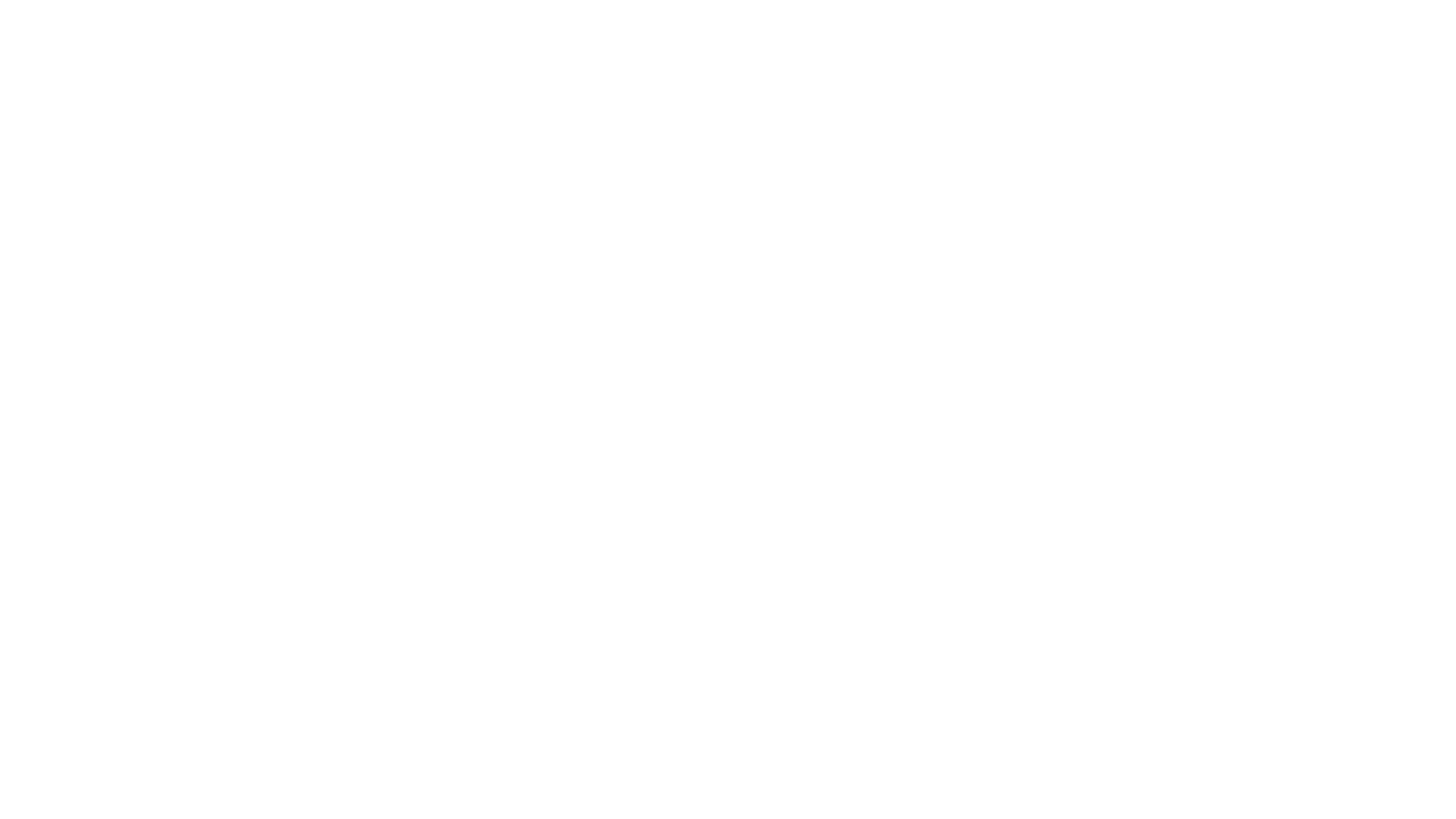 reflaunt-logo