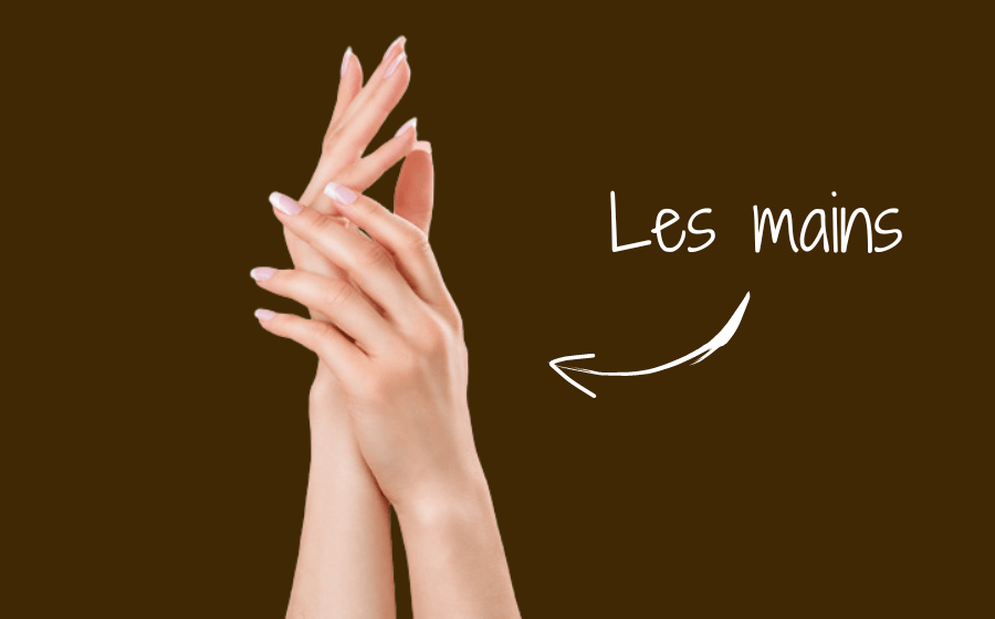 les mains
