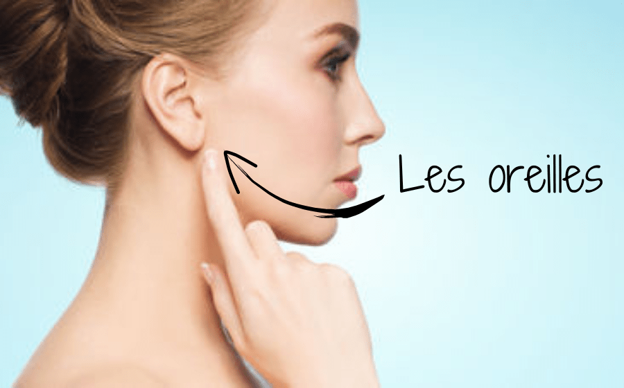les oreilles