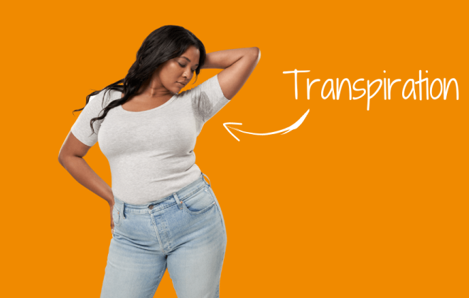 transpiration
