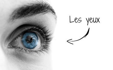 yeux