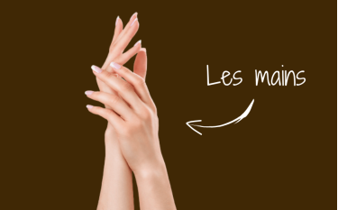 mains