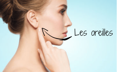 oreilles