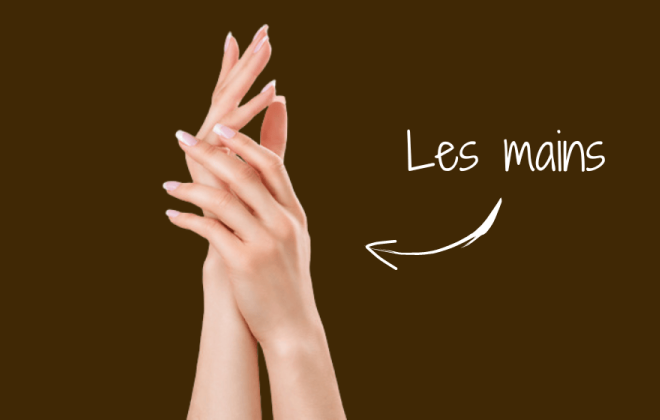 mains