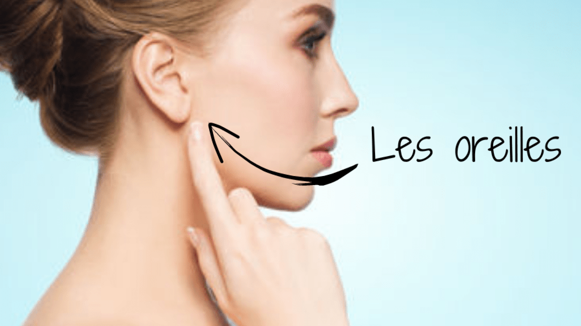 oreilles