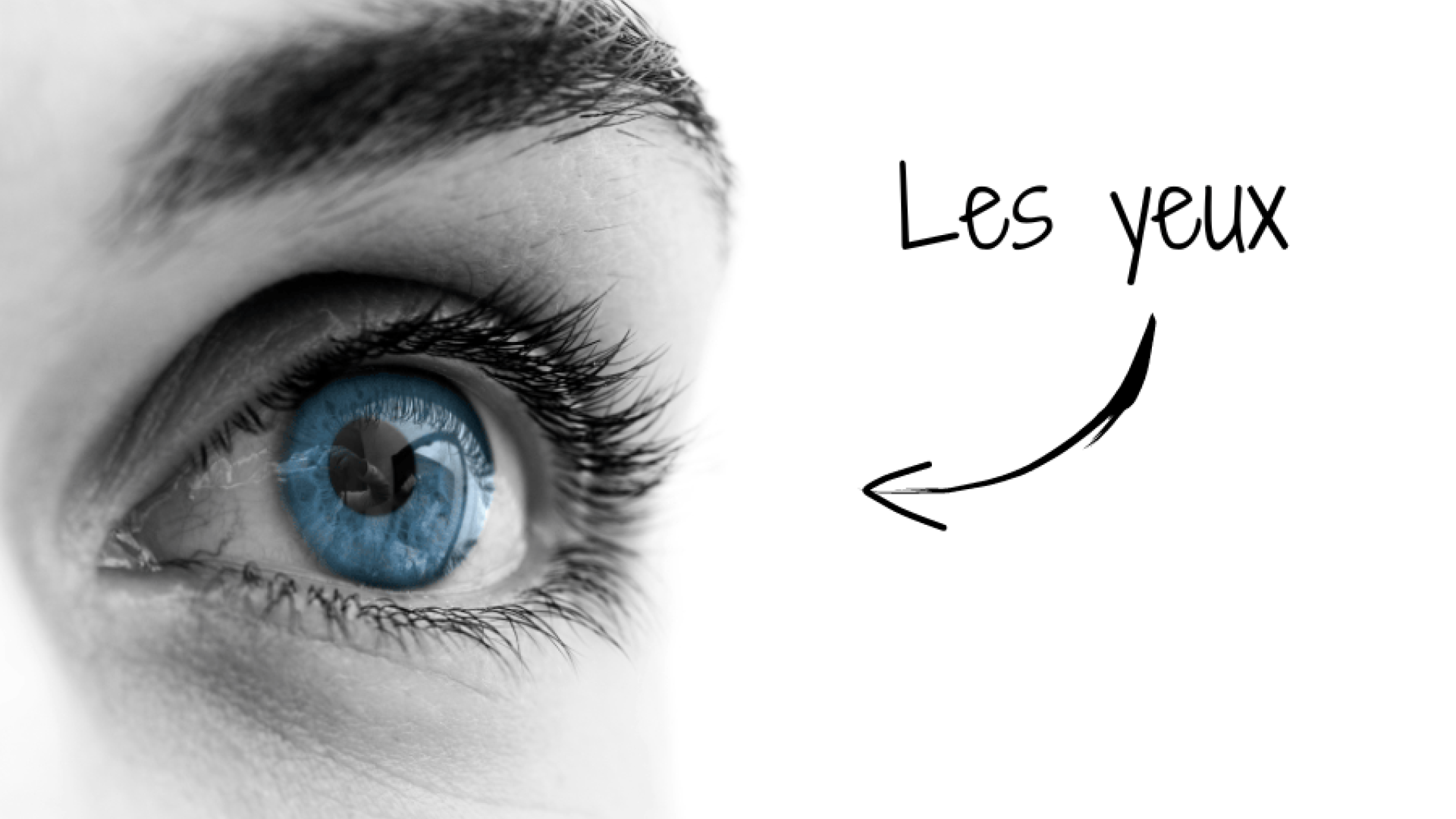 yeux